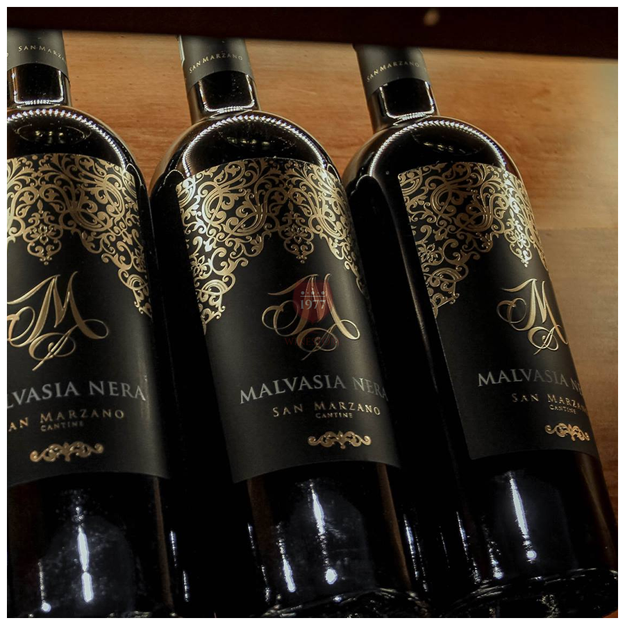 Rượu vang chữ M Malvasia Nera