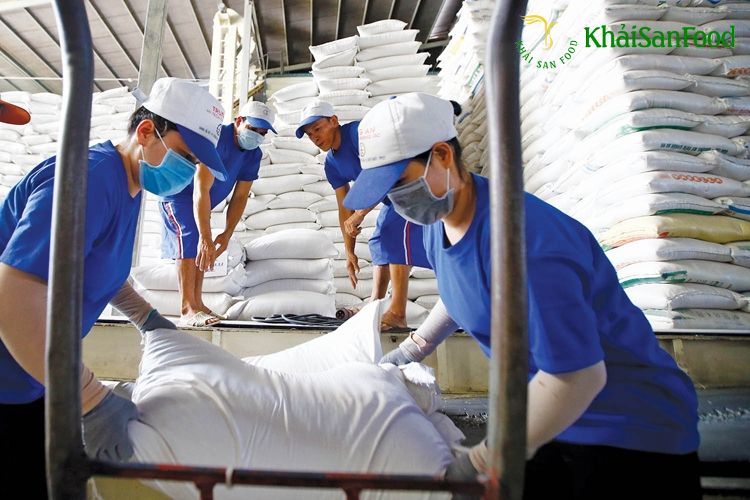 Hạt gạo thơm ngon được xuất khẩu đi khắp thế giới