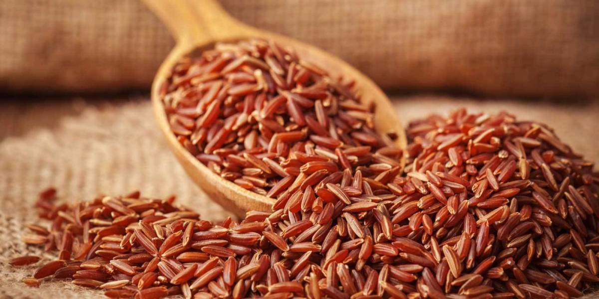 Gạo lứt bao nhiêu calo