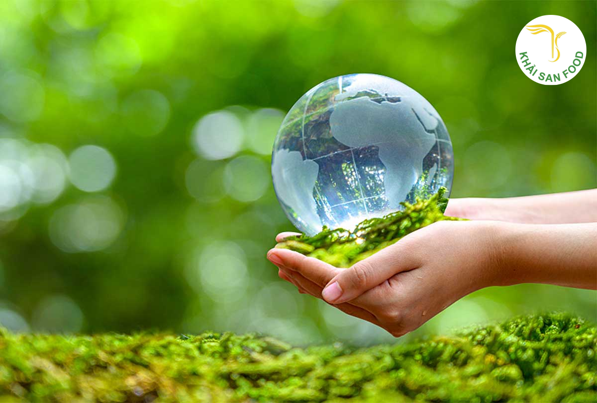 Sử dụng văn phòng phẩm hợp lý giúp bảo vệ môi trường và xây dựng hình ảnh doanh nghiệp xanh