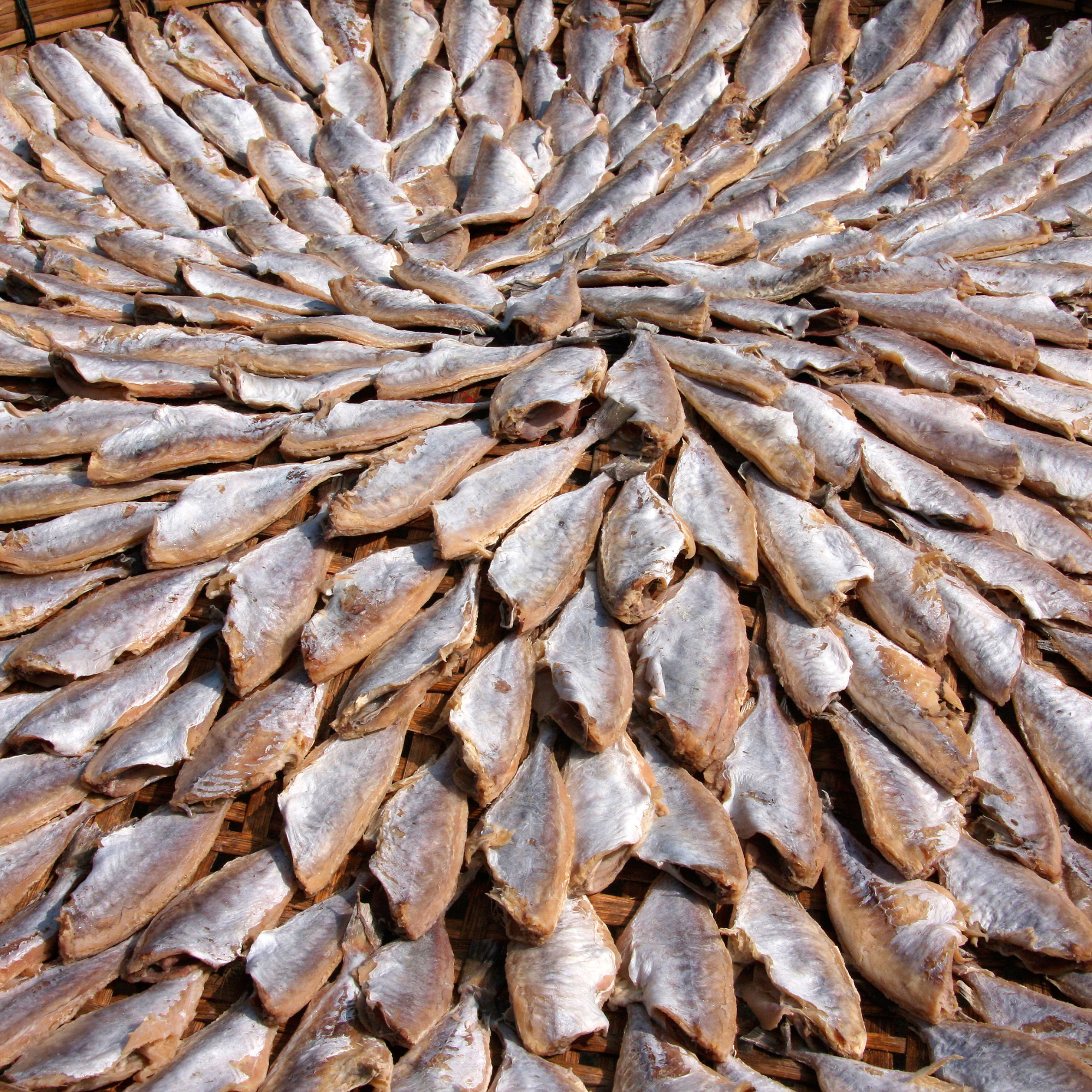 Các loại khô cá lóc, cá sặc, bảo quản các loại khô ngon