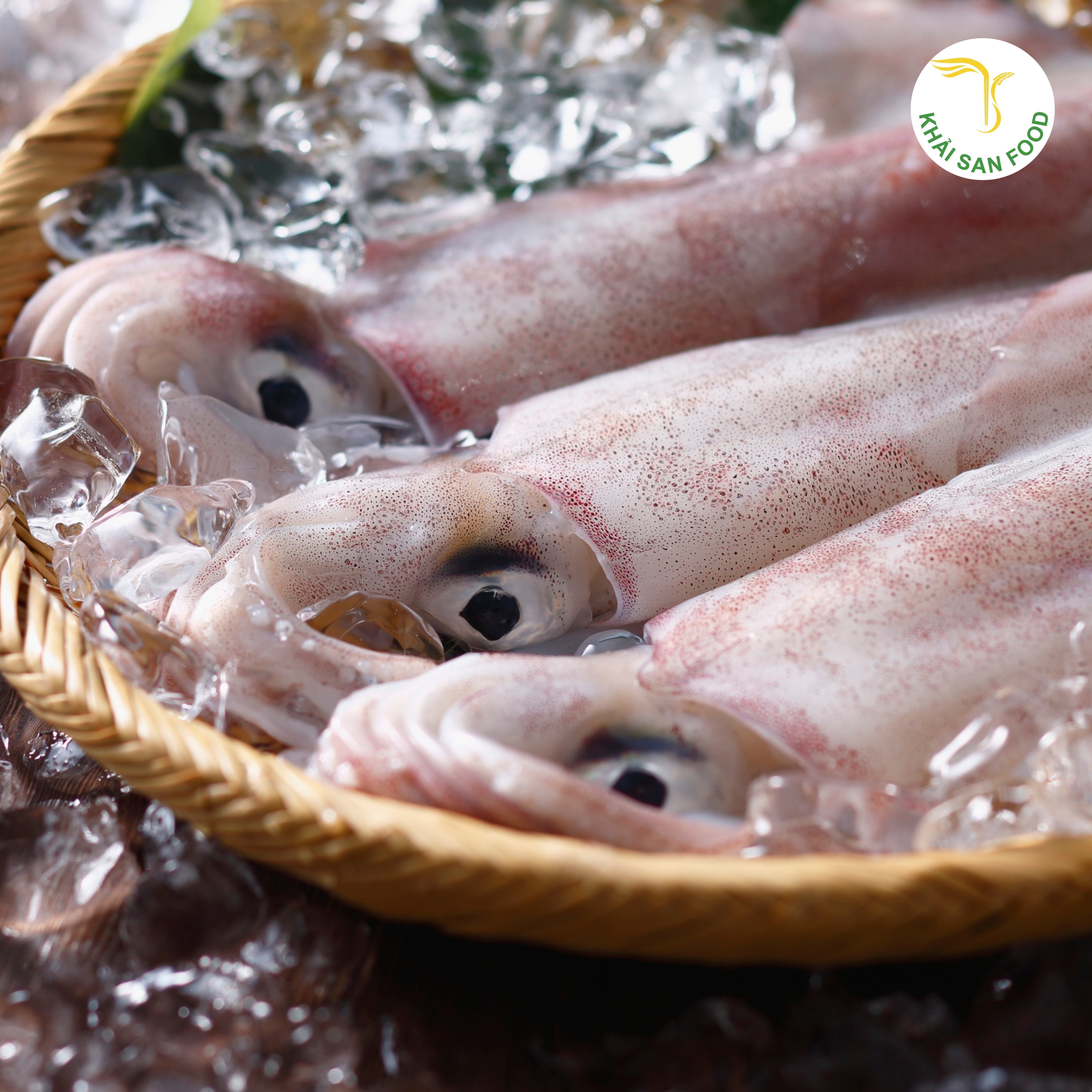 Mực tươi sẽ mang đến những món ăn ngon và hương vị tưoi mới cho những món ăn của gia đình