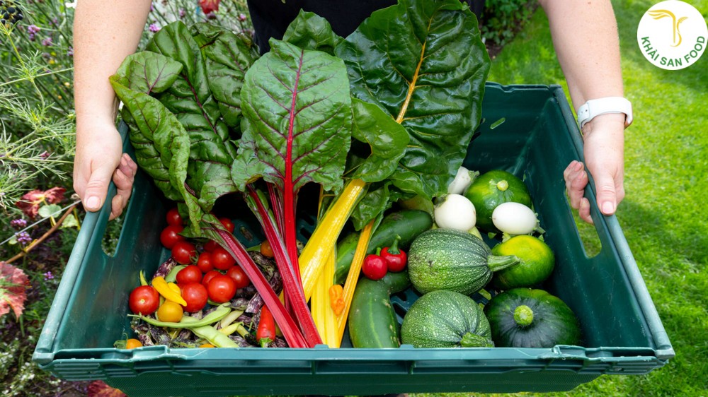 Lợi ích vượt trội khi mua sắm tại cửa hàng rau củ organic
