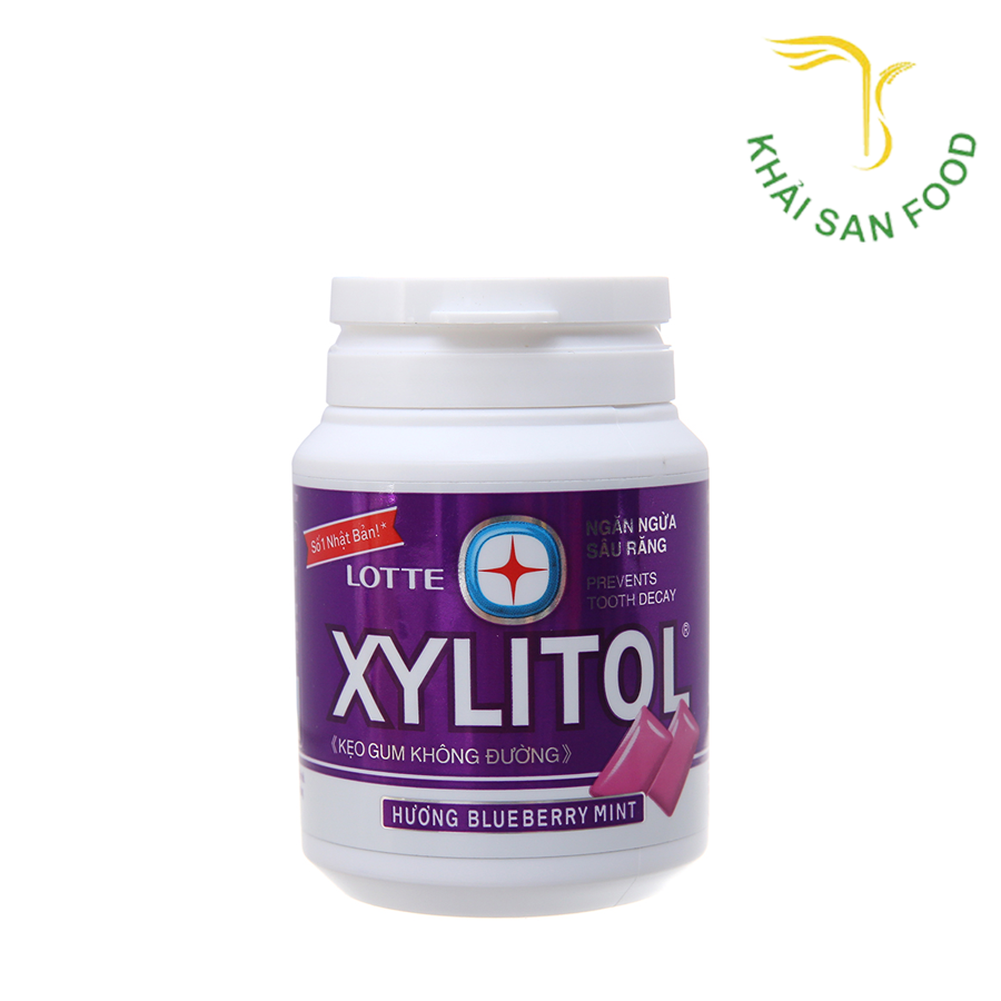 Xylitol 58G (Blue Berry)