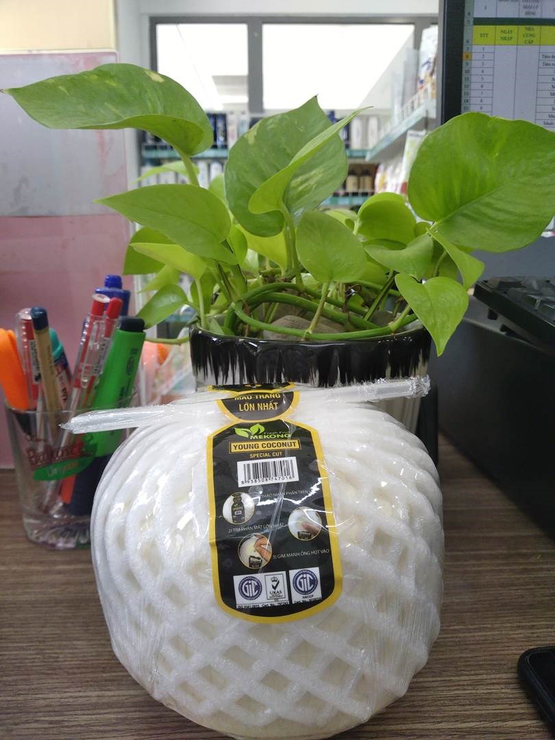 MK Dừa Tươi